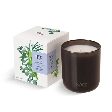Kohler Sprig Breathe Single Wick Candle